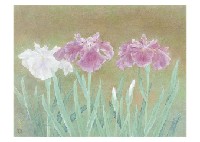 Calamus