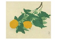 Oranges