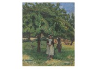 Orchard