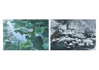 Lotus Pond and Winter (a set of 2)