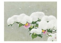 Spring and Snow