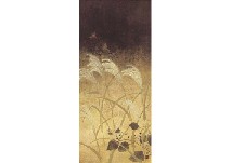 Dried Field