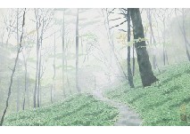 Foggy Forest by Yukio Yasui - Auction record, sale price, and art valuation. Compare with similar artists and explore comparable artworks.