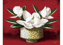 Magnolia grandiflora