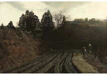 View between Two Ponds