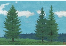 Highland