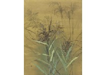 Silver grass