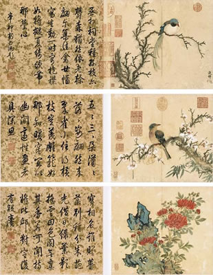 Flowers and Birds