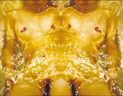 The Plural Body No.6