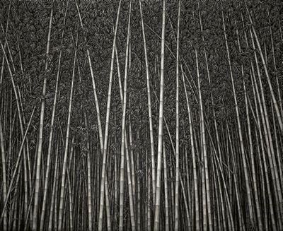 Beyond There -- diptych by Jae Sam Lee - Auction record, sale price, and art valuation. Compare with similar artists and explore comparable artworks.