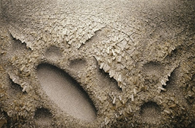 Aggregation 06-AP016 by Kwang Young Chun - Auction record, sale price, and art valuation. Compare with similar artists and explore comparable artworks.