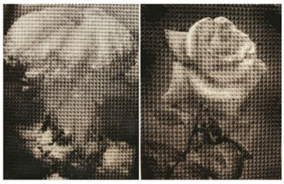 Rose & Explosion (a pair) by Dong Yoo Kim - Auction record, sale price, and art valuation. Compare with similar artists and explore comparable artworks.