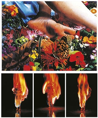 Fire A, B, C & Simulation