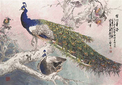 Peacocks, scroll