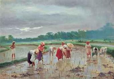 In the Rice Field