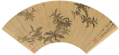 Osmanthus