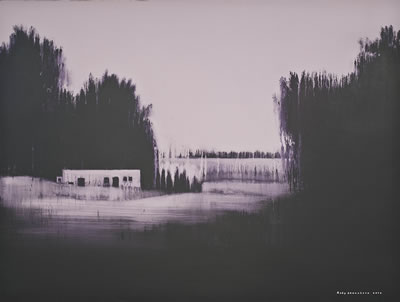 Forest Unknown #3