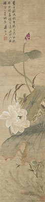 Lotus