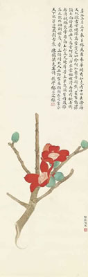 Kapok Flower