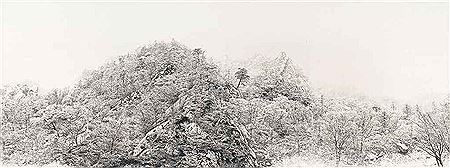 Auspicious Snow 2