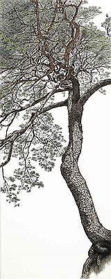 An Auspicious Pine Tree