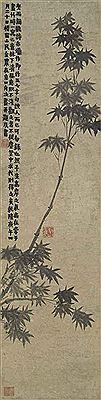 Bamboo in the Wind
