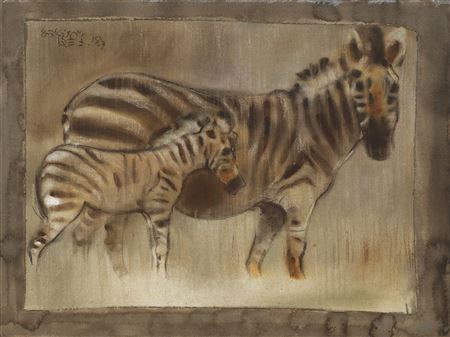 Zebra