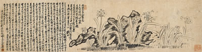 Narcissus