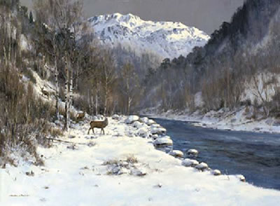 Stags by the water of Nevis