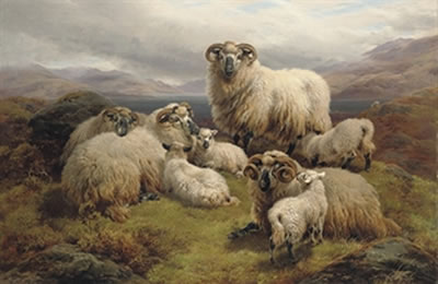 Sheep grazing by a loch by William Watson Jr - Auction record, sale price, and art valuation. Compare with similar artists and explore comparable artworks.