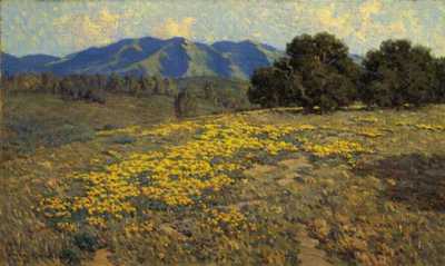 California Poppies