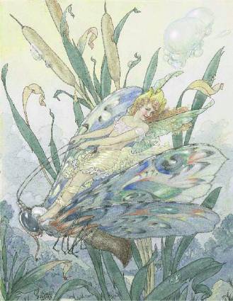 The Dragonfly Fairy