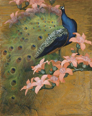 Blue Peacock