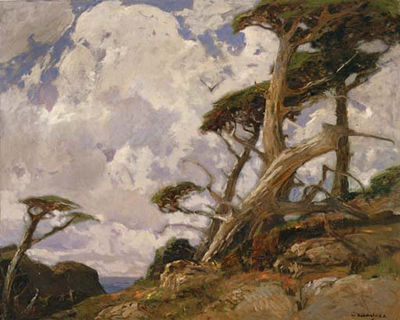 Windswept Cypress, Point Lobos