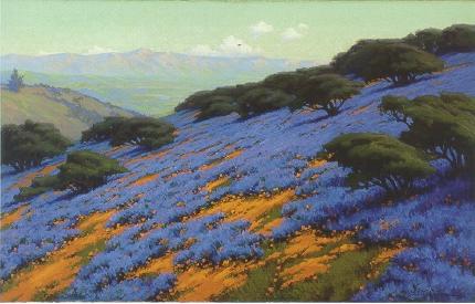 Poppies and Lupine, Santa Ba