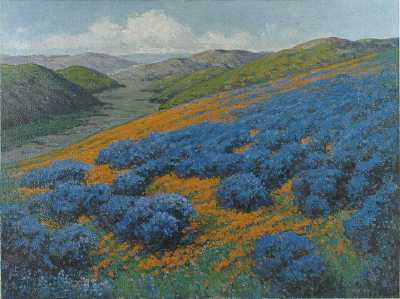 Poppies and Lupines