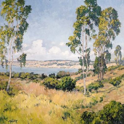 Summer Coast