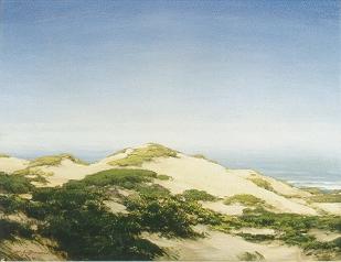Sand Dunes