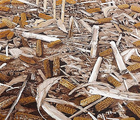 Les maïs coupés, 1999 by Hilary Dymond - Auction record, sale price, and art valuation. Compare with similar artists and explore comparable artworks.