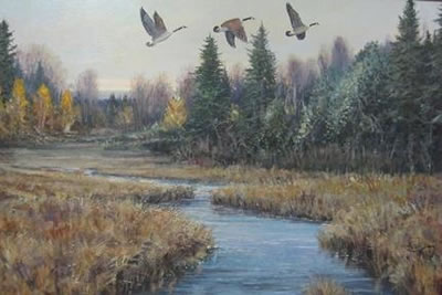 Canadian Geese