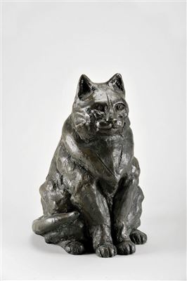 "Gato"