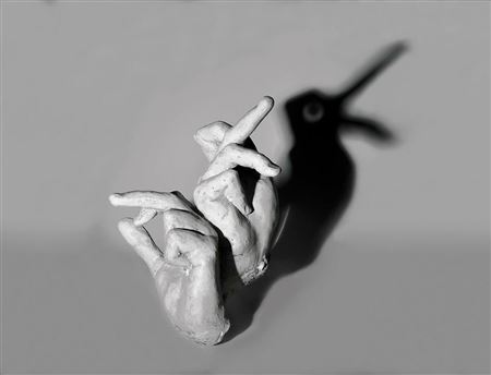 "Rabbit Shadow #6" by Nuno Nunes Ferreira - Auction record, sale price, and art valuation. Compare with similar artists and explore comparable artworks.