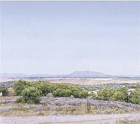 Landscape of Santa Cruz de la Sierra