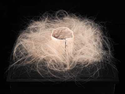Untitled (Hair Collar) by Ann Hamilton - Auction record, sale price, and art valuation. Compare with similar artists and explore comparable artworks.
