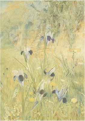 Irises in the Garden