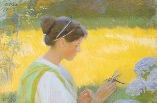 The Dragon Fly