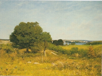 View from a Meadow