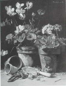 The Potting Bench