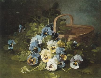 Pansies