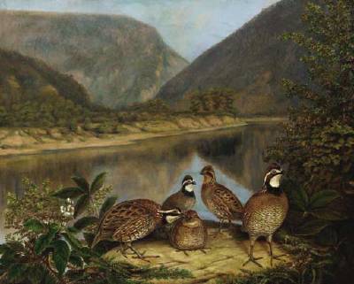 Titian Ramsay Peale biographical photo